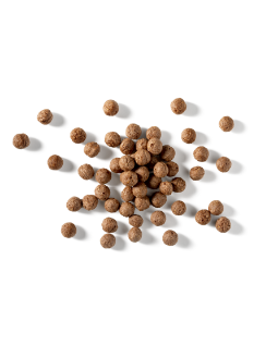 Cereal cocoa balls 2